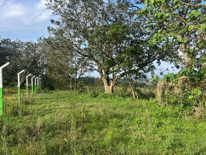 18.9 acres for sale Nakuru Dundori forest area -85.5m