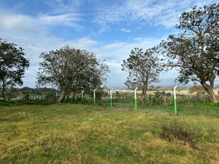 18.9 acres for sale Nakuru Dundori forest area -85.5m