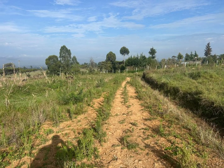 18.9 acres for sale Nakuru Dundori forest area -85.5m