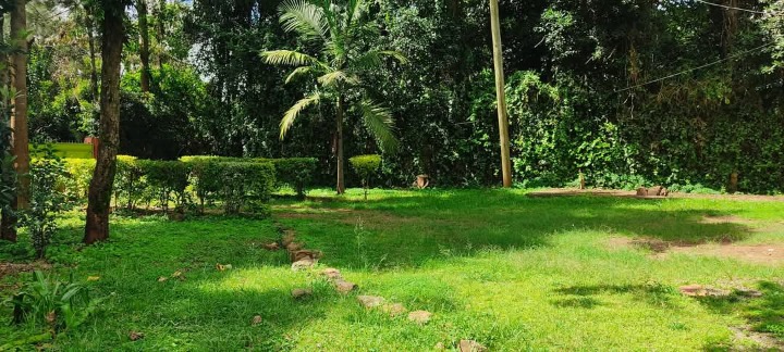3-Bedroom Own-Compound House for Rent in Nyeri – Ring Road | Ksh 40,000
