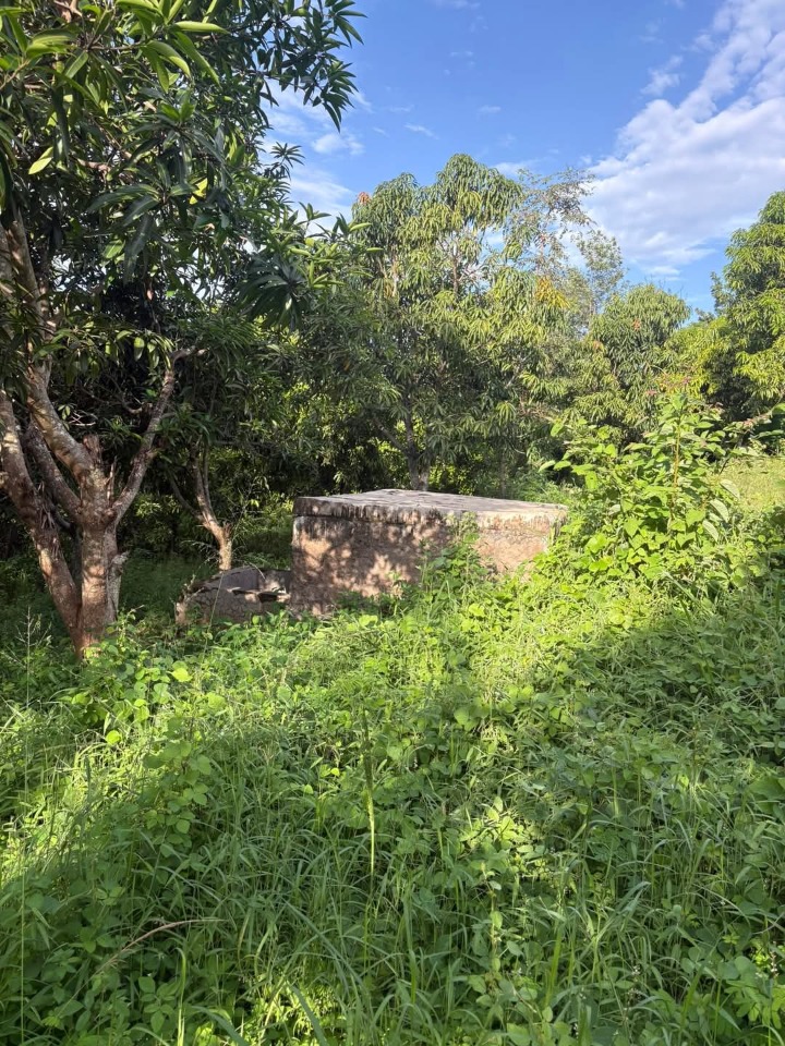 20 Acres for sale in Murang'a marangua -60m