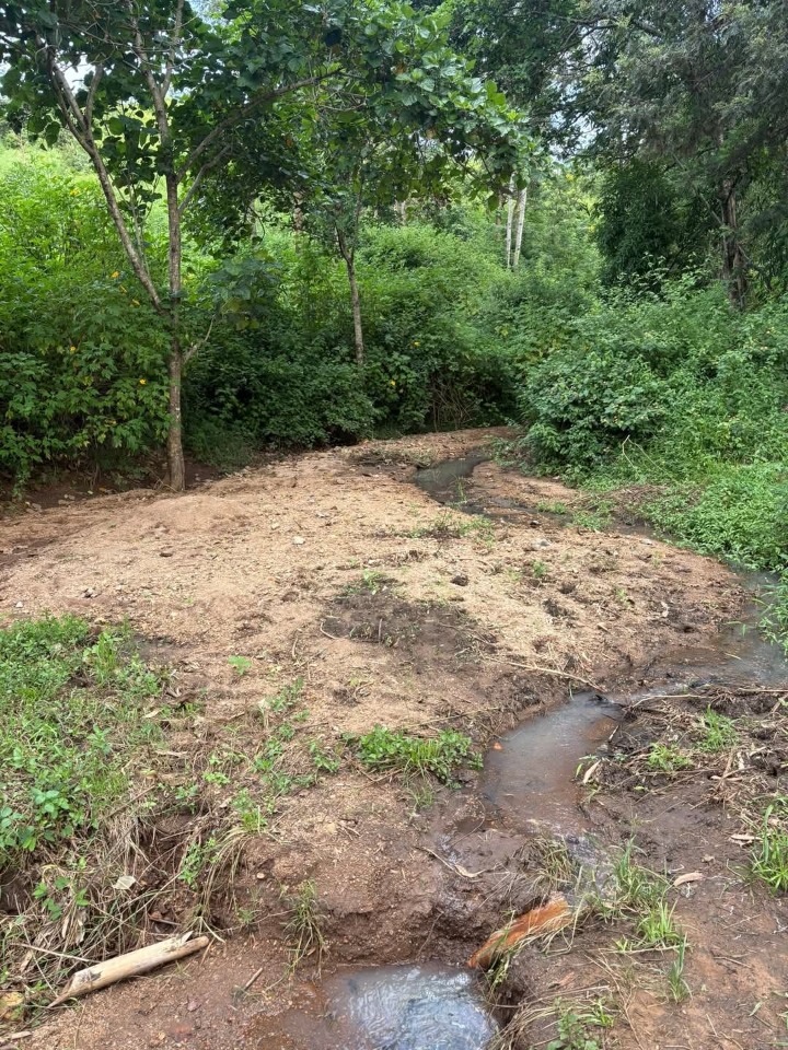 Land_plot for sale at Marangwa 