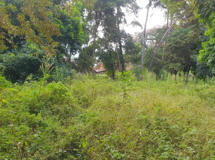 5 acres for sale at runda paradise, Nairobi 