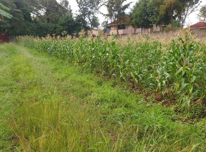 5 acres for sale at runda paradise, Nairobi 