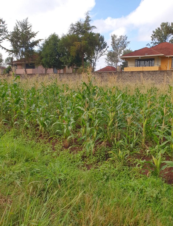 5 acres for sale at runda paradise, Nairobi 