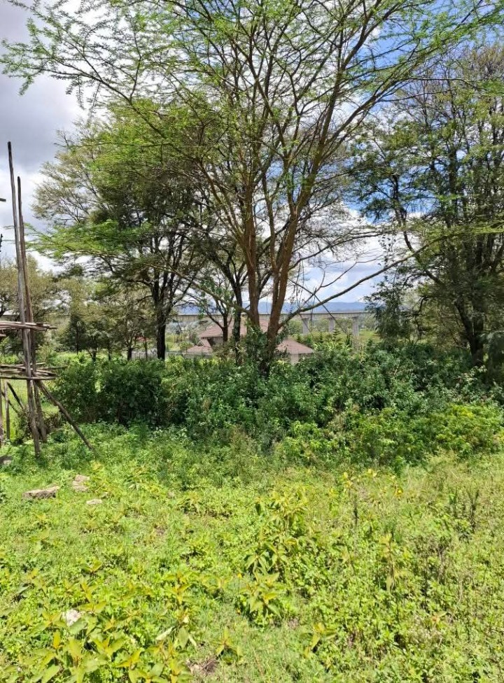 1/8 acre plot for sale in ongata Rongai -2.7m