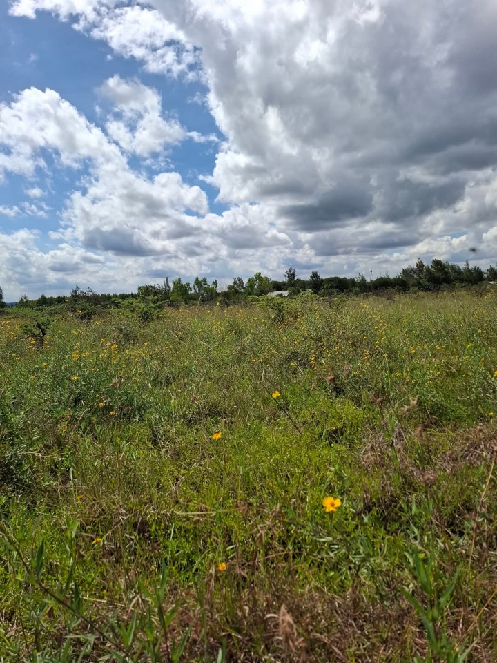 1 acre for sale in ongata Rongai -rangau