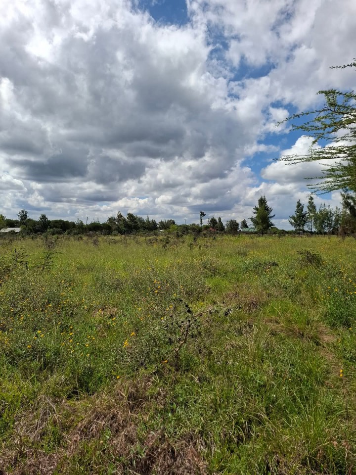 1 acre for sale in ongata Rongai -rangau