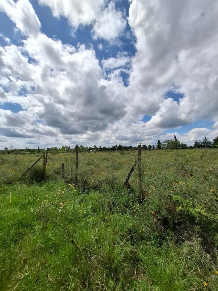 Land_plot for sale at Rangau