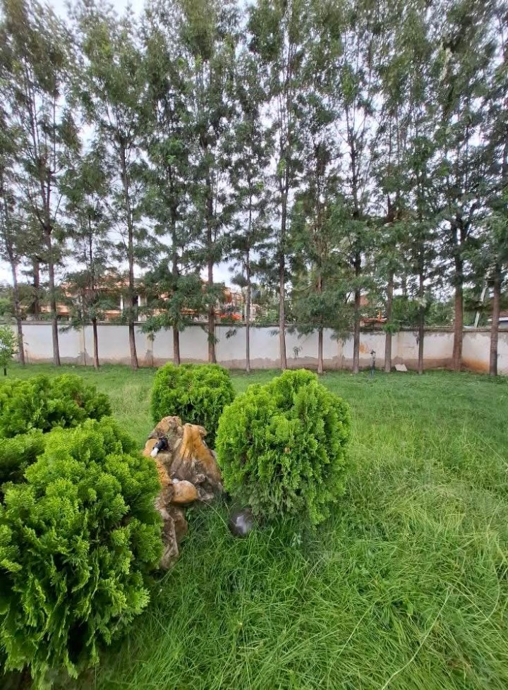 1/2 acre plot for sale in ongata Rongai -25m to