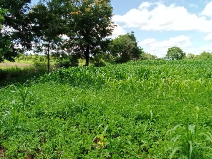 Land_plot for sale at Embu- kiritiri road 