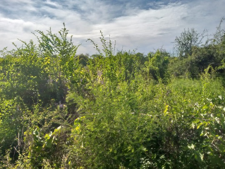 3.5 Acres for sale in Kitui,mwingi West - thitani 