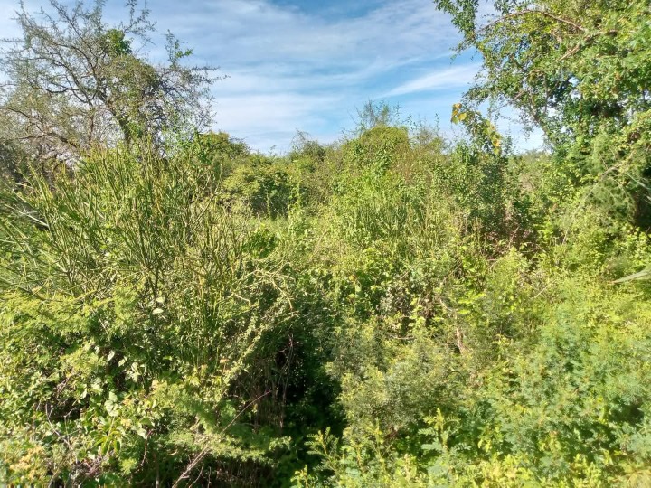 3.5 Acres for sale in Kitui,mwingi West - thitani 