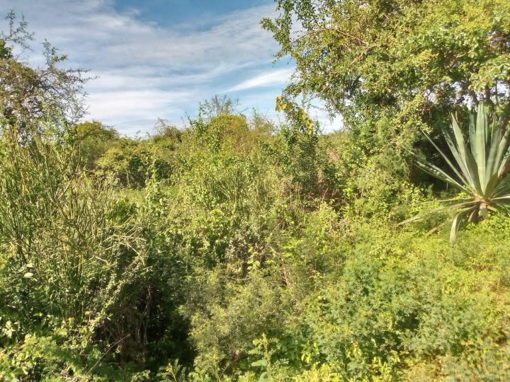 3.5 Acres for sale in Kitui,mwingi West - thitani 