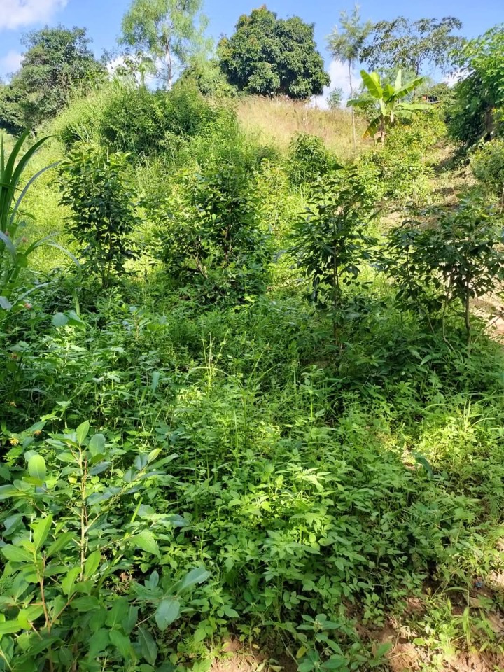 1.75 acres for sale in Embu kiritiri road 1.6m