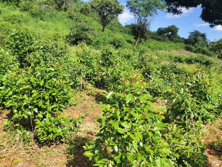 1.75 acres for sale in Embu kiritiri road 1.6m