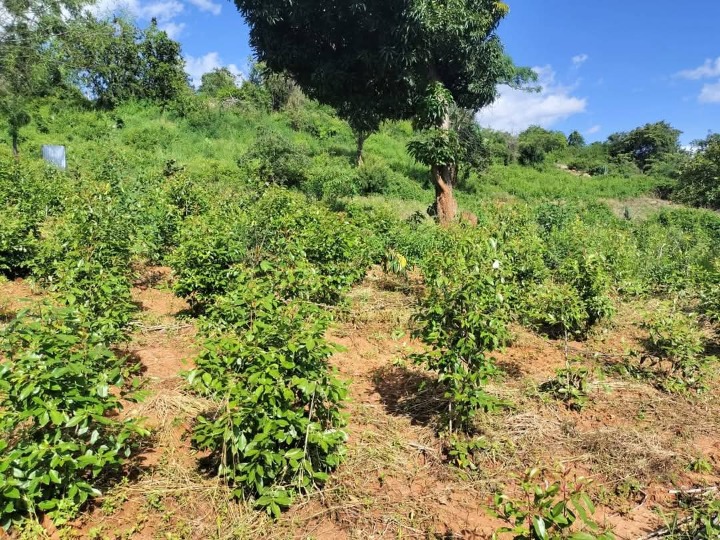 1.75 acres for sale in Embu kiritiri road 1.6m