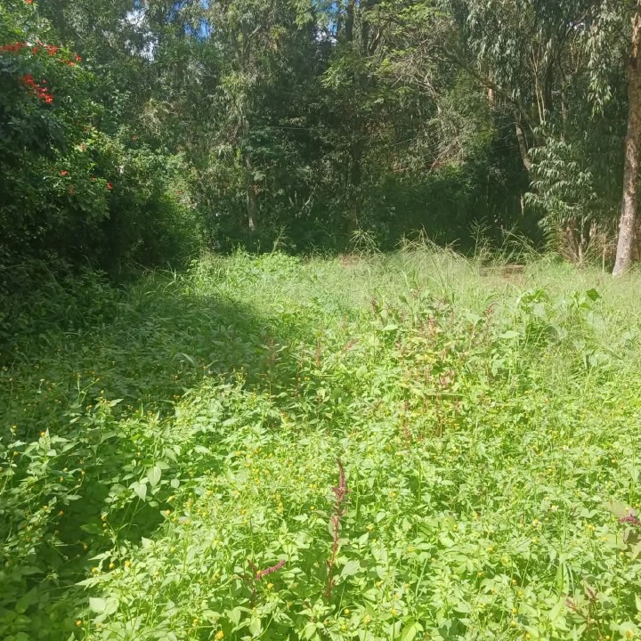 1.6 acres for sale in Karen Hardy,ushirika road