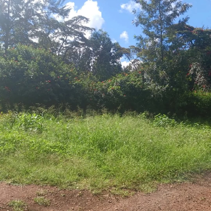 1.6 acres for sale in Karen Hardy,ushirika road