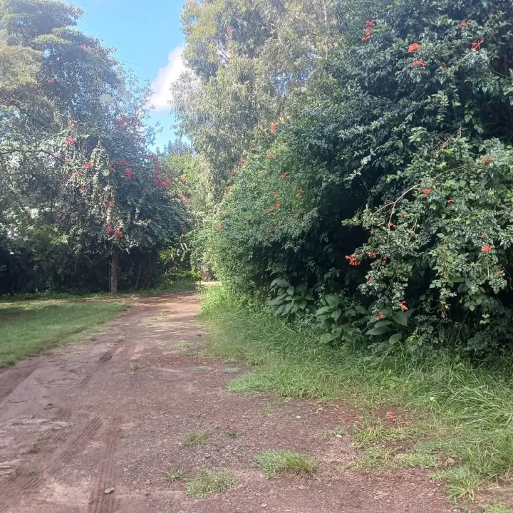 1.6 acres for sale in Karen Hardy,ushirika road