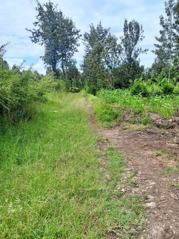 1/2 acre for sale in muranga kabati kenol 