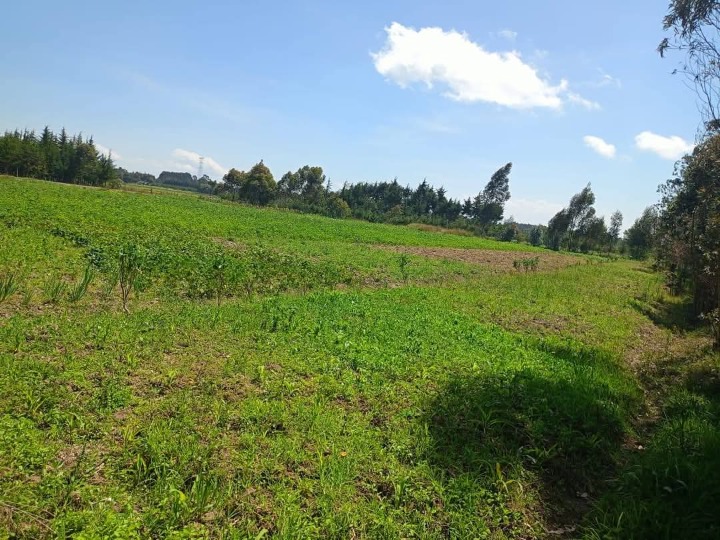5 acres for sale in nyandarua murungaru kinangop
