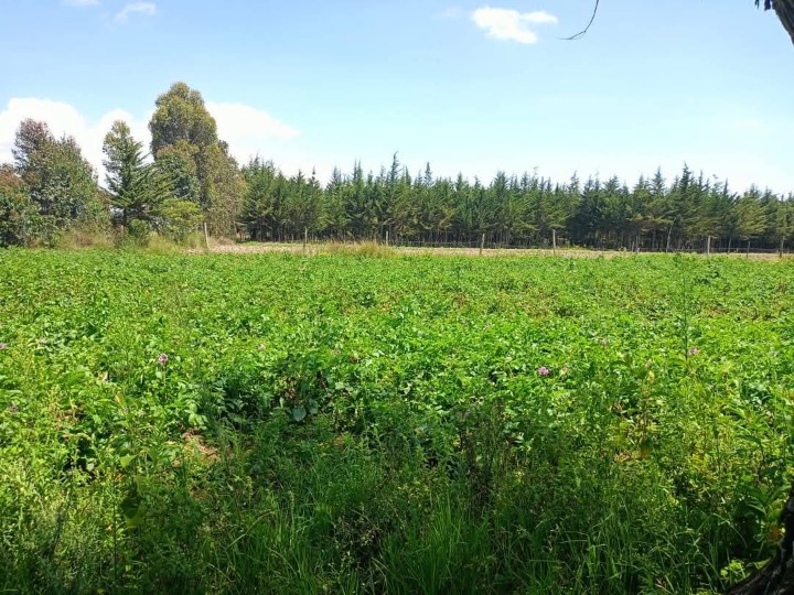 5 acres for sale in nyandarua murungaru kinangop