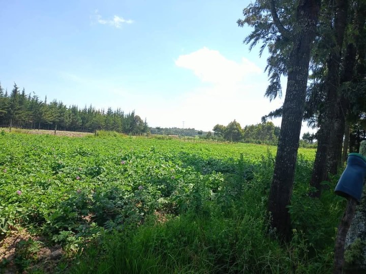 5 acres for sale in nyandarua murungaru kinangop
