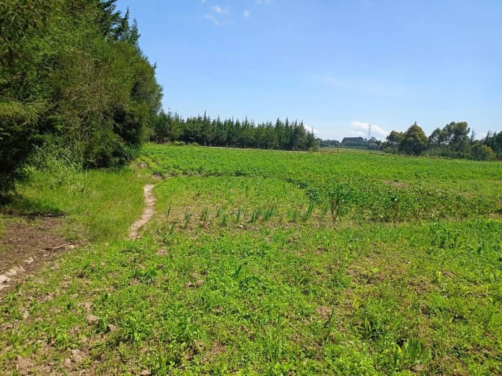 5 acres for sale in nyandarua murungaru kinangop