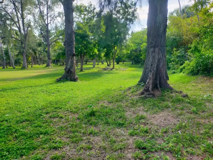 4 acres for sale in Kilifi county kikambala 
