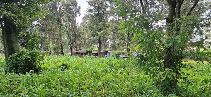 1/4 acre plot for sale in Ngong town 