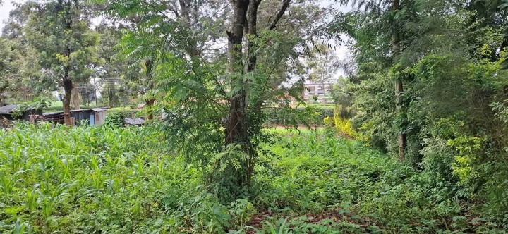 1/4 acre plot for sale in Ngong town 