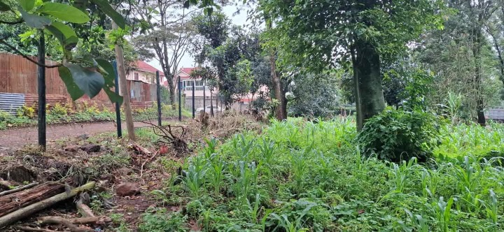 1/4 acre plot for sale in Ngong town 