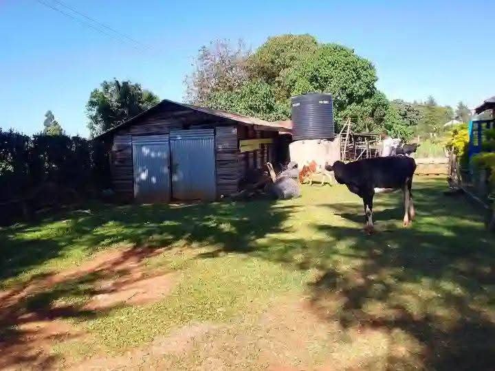 1 acre for sale in ainabkoi, tuiyo kapbongo 