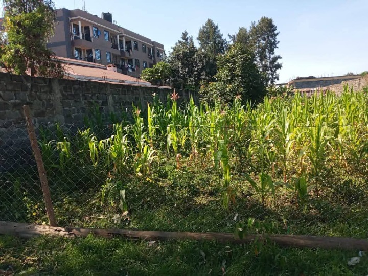 1/8 acre plot for sale in Nakuru, karatina 