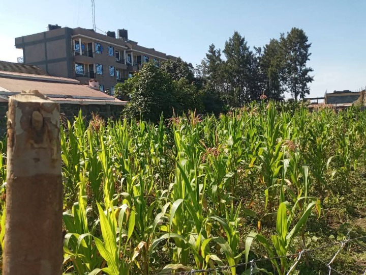 1/8 acre plot for sale in Nakuru, karatina 
