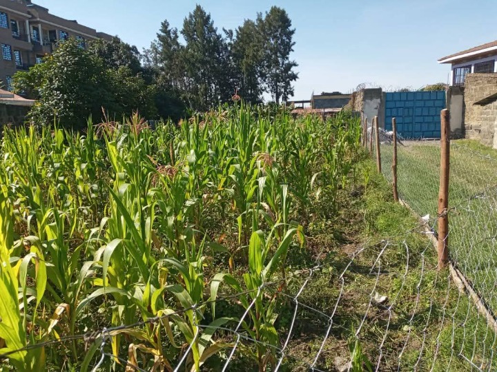 Land_plot for sale at Karatina 
