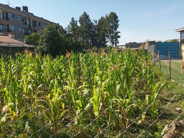 1/8 acre plot for sale in Nakuru, karatina 