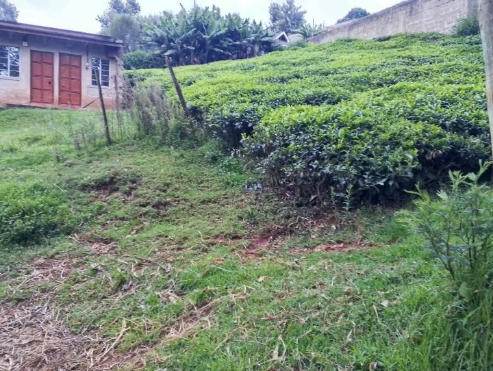 1/8 acre  for sale nyeri othaya 