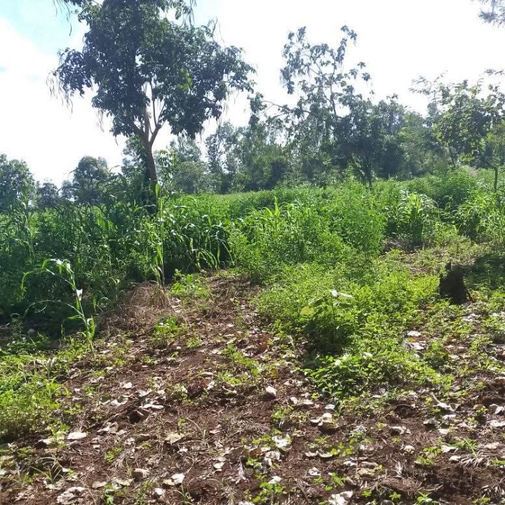 10.5 acres for sale in meru,imenti South,kanyakine,maraa-10.5m