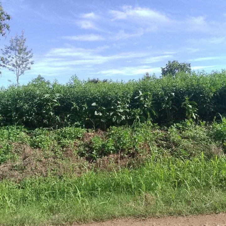 10.5 acres for sale in meru,imenti South,kanyakine,maraa-10.5m