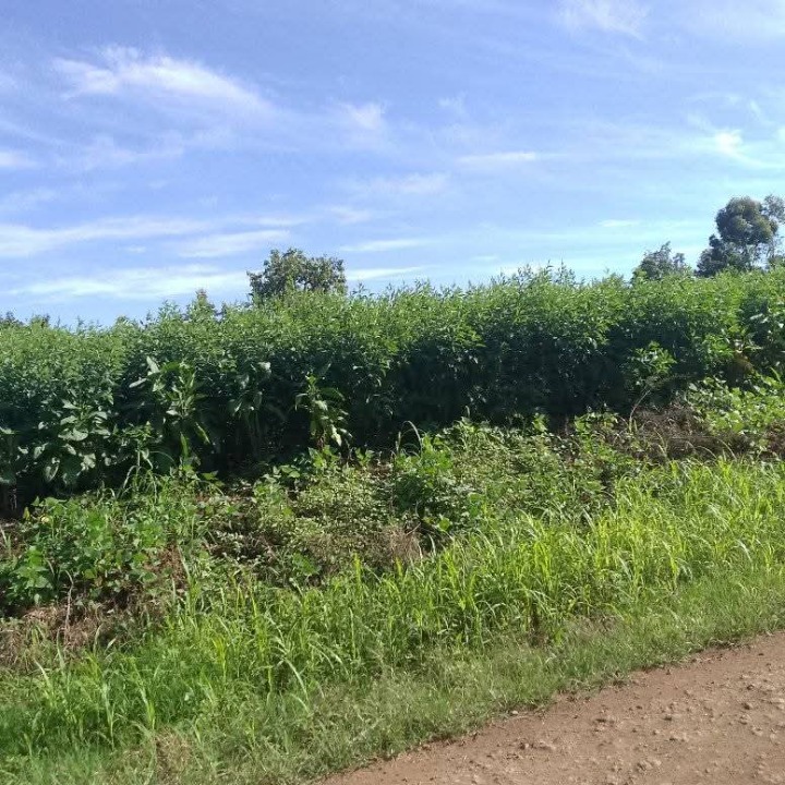 Land_plot for sale at Kanyakine maraa