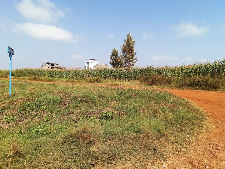1/8 acre plot for sale kiambu kiringiti 