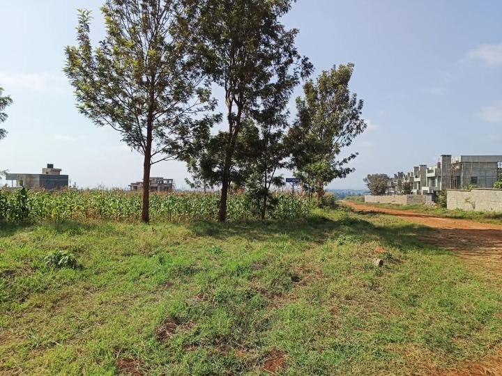 1/8 acre plot for sale kiambu kiringiti 