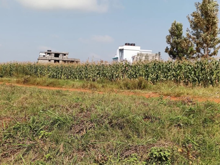1/8 acre plot for sale kiambu kiringiti 