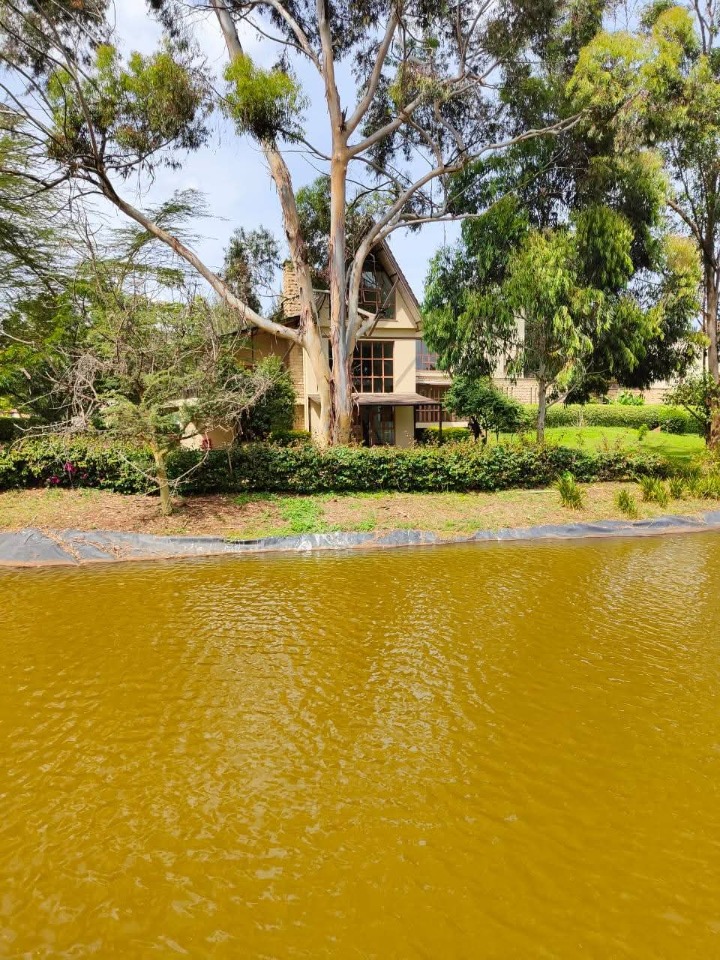5 bedroom house for sale in karen-155m