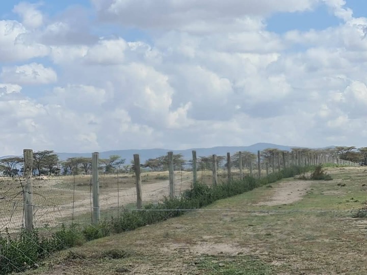 Land_plot for sale at Kimuri 