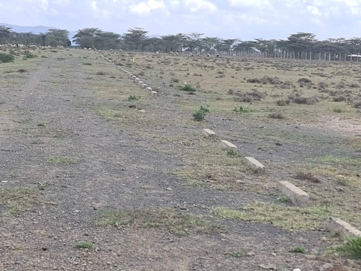 3 acres Land for sale in nanyuki,kimuri -9m