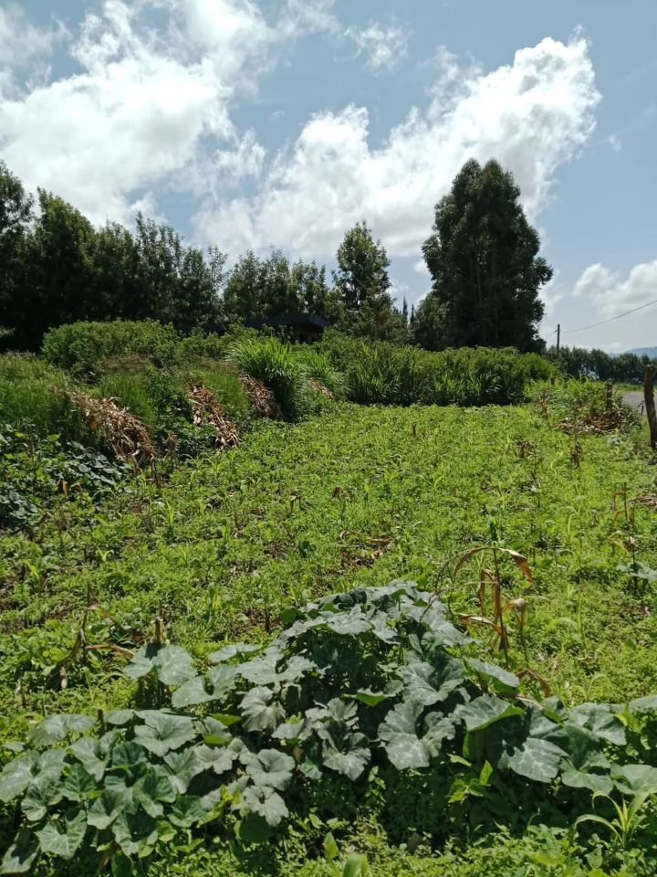 1/2 acre for sale in machakos mua hills -3.5m