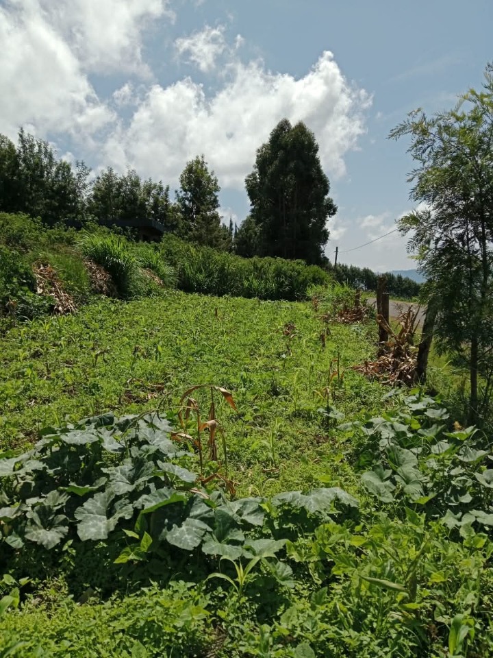1/2 acre for sale in machakos mua hills -3.5m